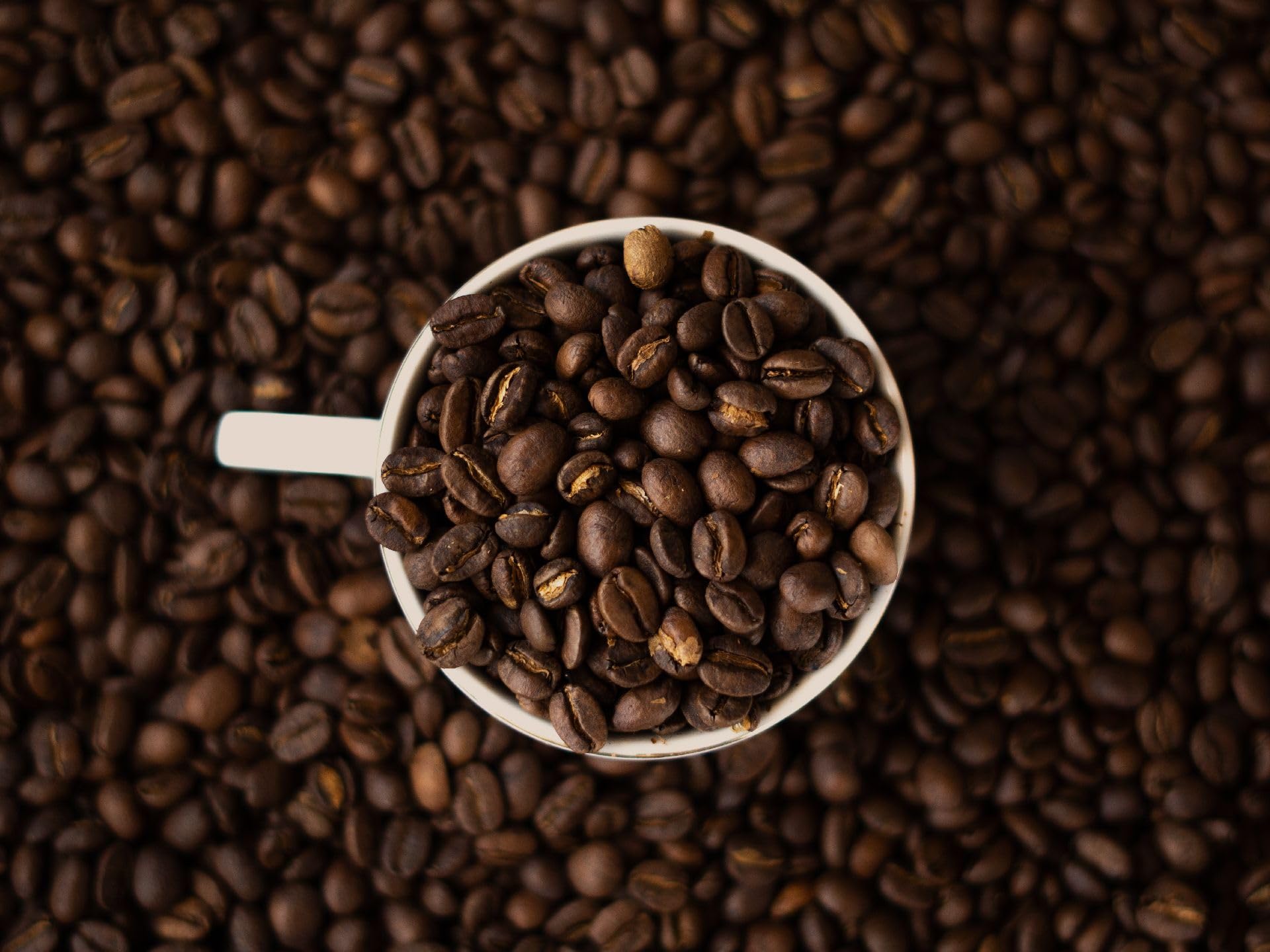 Cafe Music BGM channel