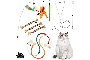 Interactive Cat Toys with Suction Cup: Indoor Entertainment for Your Feline Friends