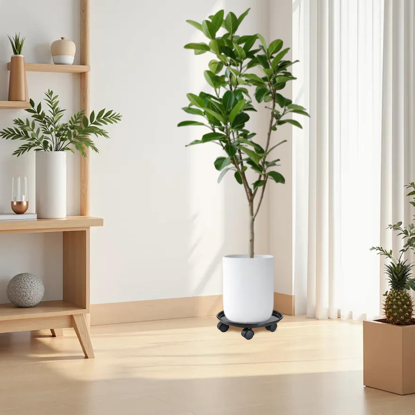 3 Pièces Chariot Roulant pour Plantes Rond Sous-Pot avec Roulettes Universelles Support pour Plantes Chariot Mobile pour Intérieur et Extérieur Capacité de Charge 50 kg 30 cm Noir