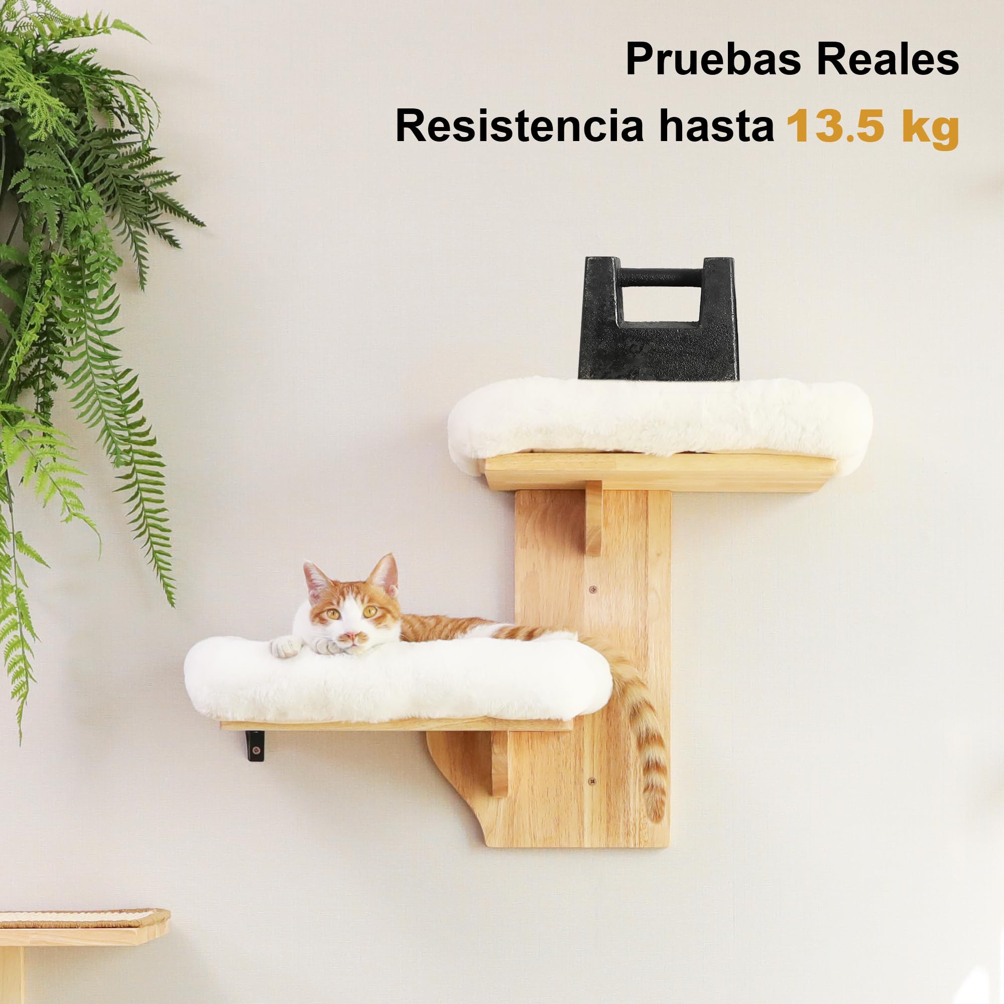 FUKUMARU Estantes de pared para gatos, 2 plataformas, muebles de pared para gatos, estante flotante en forma de árbol con cojín suave, percha de madera maciza para gatos de 16 pulgadas, apto para