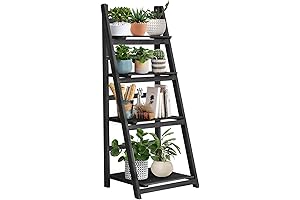 Ameriwood Home Lawrence 4 Shelf Ladder Bookcase Bundle, Black