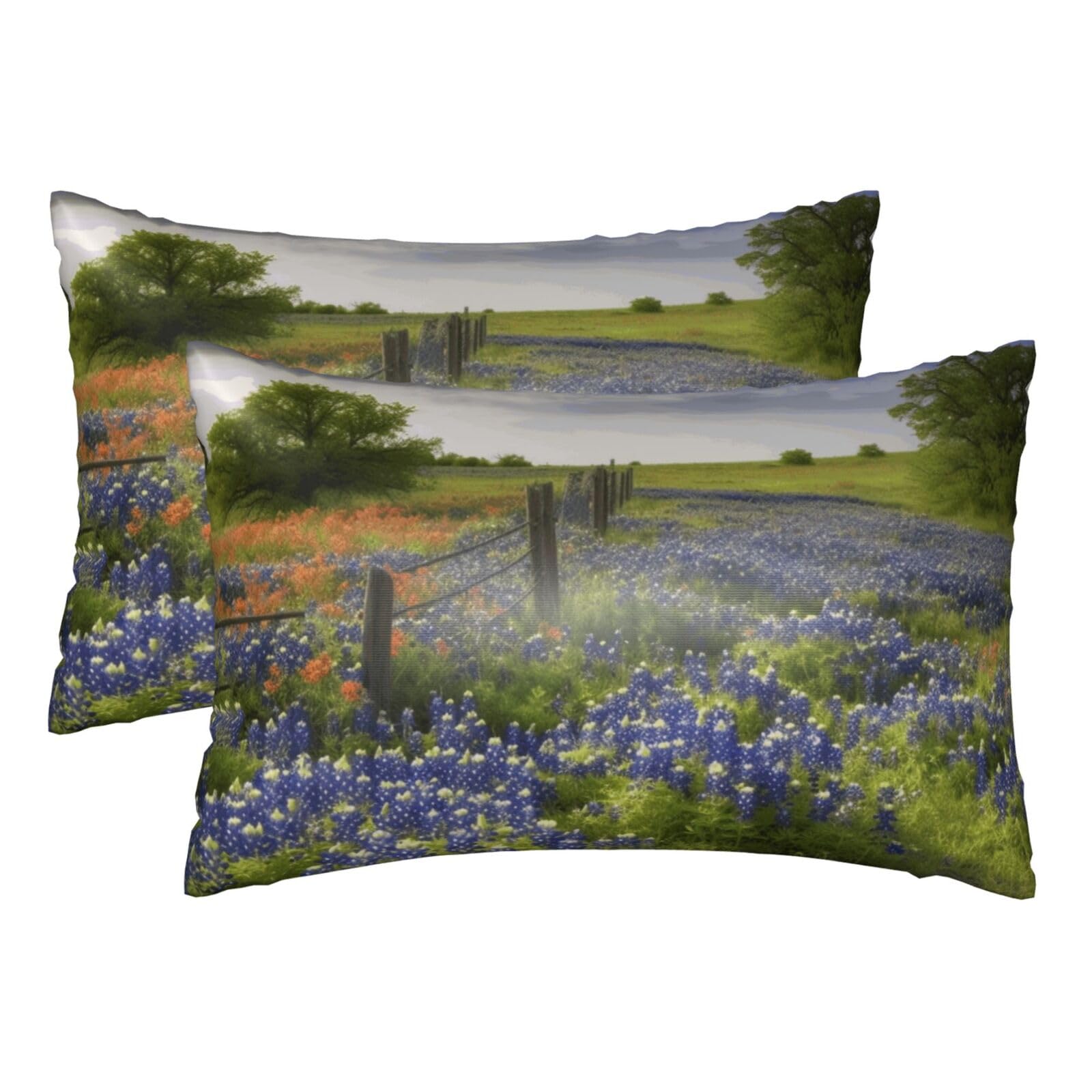 Silk Pillowcases Set of 2 Pillow Shams Breathable Soft Pillow Covers with Envelope Closure Texas Bluebonnets Scenery Pillowcases Standard Size 20x30 Inches Washed Pillow Cases for Hair and Skin