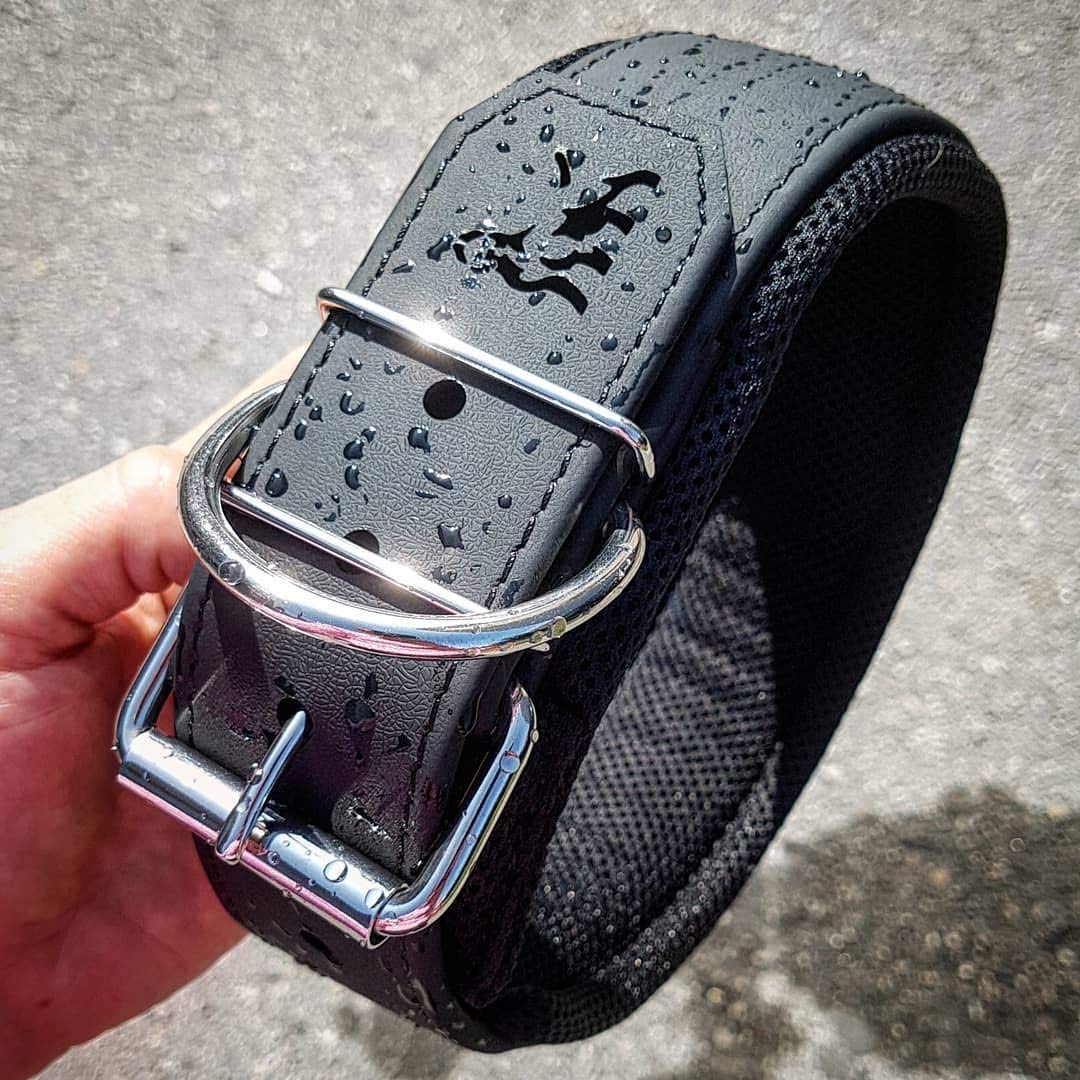 Bestia Dog Sport Collar para Perros Ultra Resistente - Acolchado, Cinta recubierta de TPU Impermeable, Lavable, 5 cm de Ancho, para Pastor Alemán, Rottweiler, Cane Corso (Negro, L 50-60 cm)