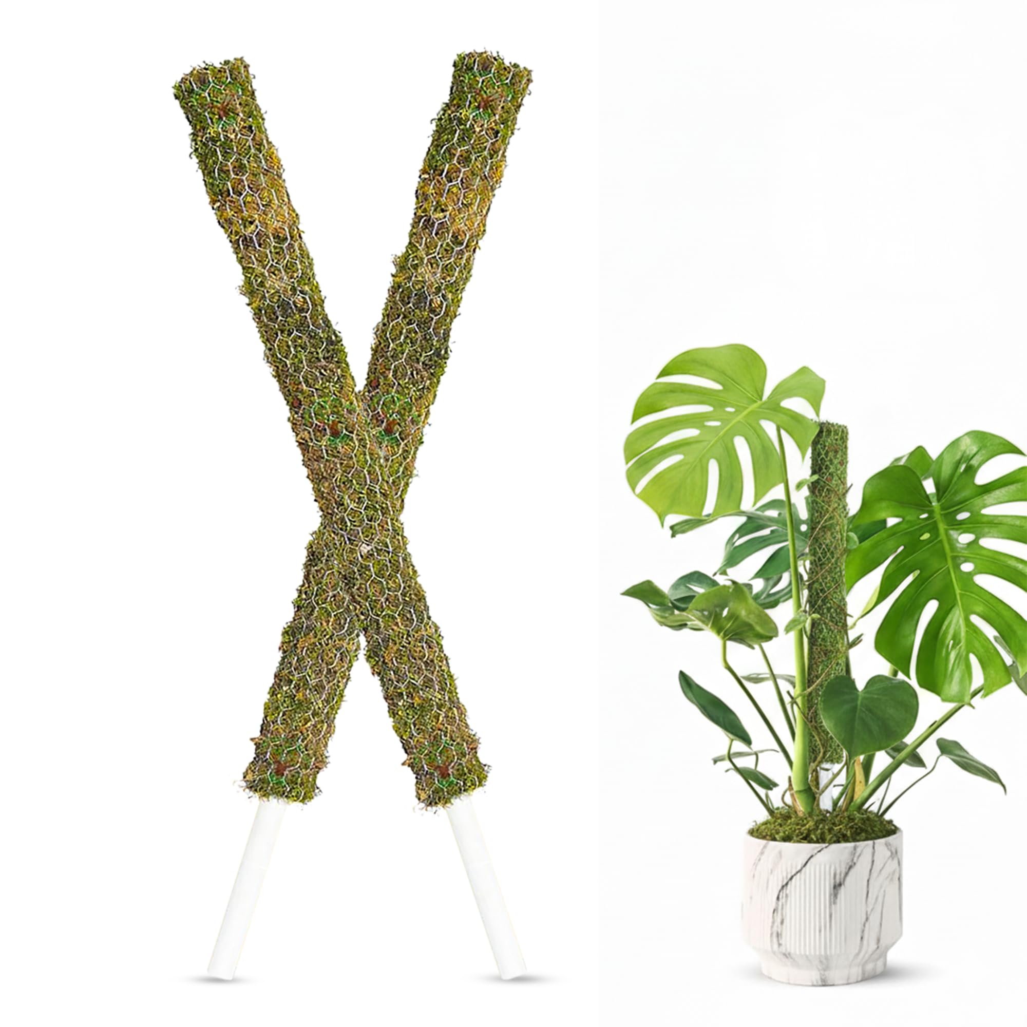 Dr. Arya's Moss Stick for Plant Climbing Indoors | 4ft Each - (Set of 2)
