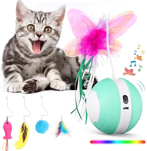 Rueda de juguetes con sonido  Pelota de juguete para cachorros de interior  USB cargable