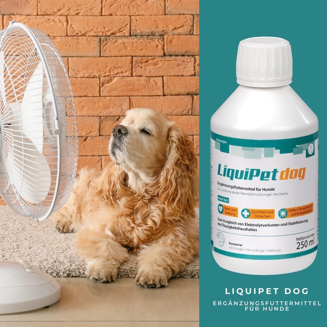 LiquiPet Dog Concentrato elettrolitico: può aiutare a compensare le perdite di elettroliti e stabilizzare l'equilibrio dei liquidi, per cani anziani e ad alte temperature, 250 ml