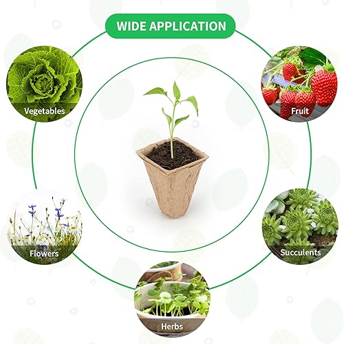 Miniatura 3 de Paquete de 20 macetas de turba de 240 celdas, bandejas de inicio de semillas, bandejas cuadradas de germinación con etiquetas de plantas para