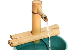 Zen Garden Golgappa Fountain