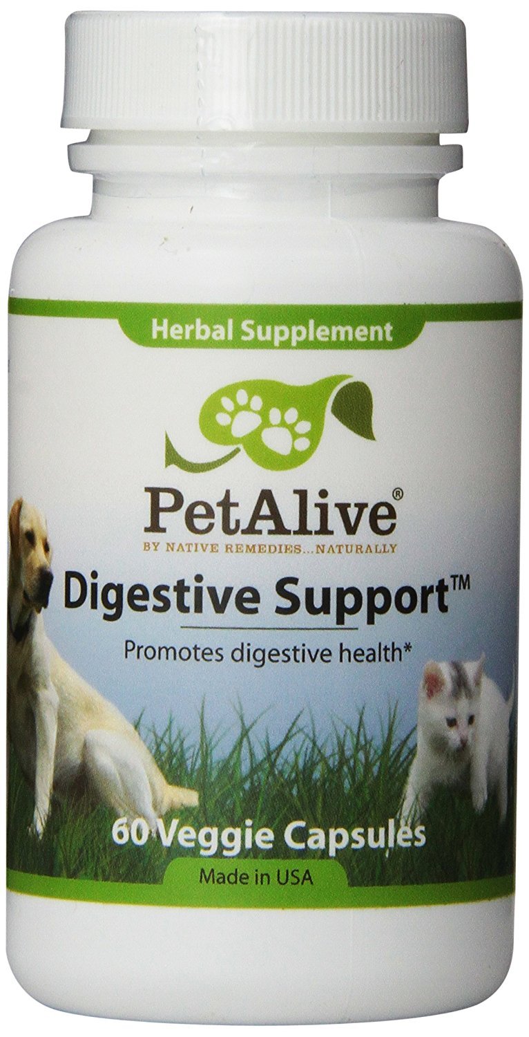 Buy PetAlive Digestive Support for Ongoing Pet Digestive Health (60