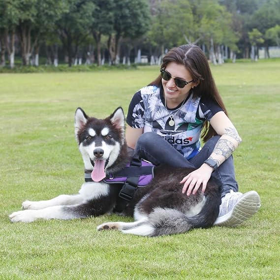 Dog Harness, No-Pull Reflective Dog Vest, Breathable Adjustable Pet Harness with Handle for Outdoor Walking - No More Pulling, Tugging or Choking (Purple, XS)