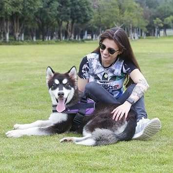 Dog Harness, No-Pull Reflective Dog Vest, Breathable Adjustable Pet Harness with Handle for Outdoor Walking - No More Pulling, Tugging or Choking (Purple, XS)