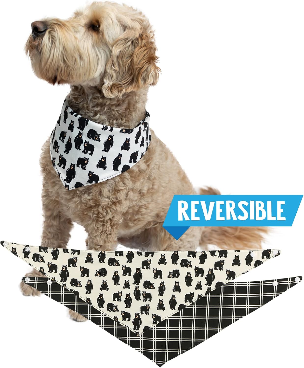 LazyOne Reversible Dog Bandana, Cute Accessories for Pets (X-Small/Small, Family Bear)