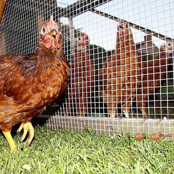 Stainless Steel Welded Wire Mesh 304, 1/2 inch Square Hardware Cloth, Hardware Cloth Wire Mesh, Garden Fence for Chicken Coop Pen Vegetables Garden Animal Control(1.2mX15m(47.2inX49.2ft))
