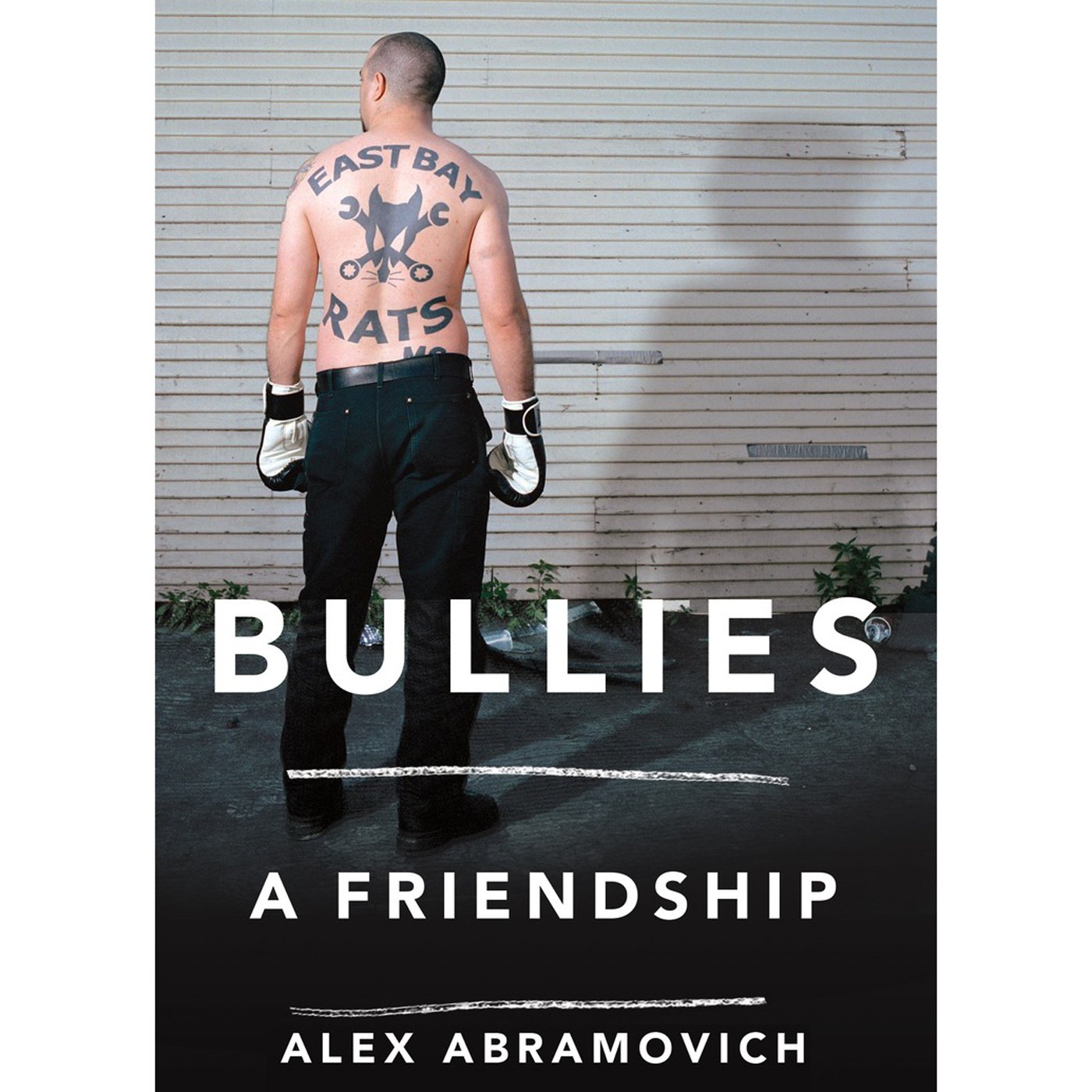 Cover art for Bullies