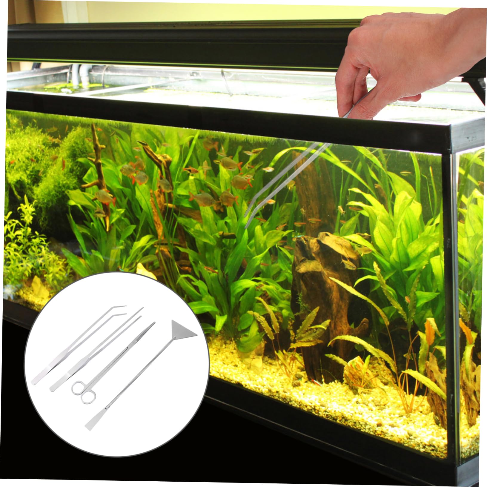 Ensemble de Ciseaux pour Plantes Aquatiques en Acier Inoxydable 1 Set | Argenté, pour Décorations et Gravier, Outils D’aquascaping en Format Compact