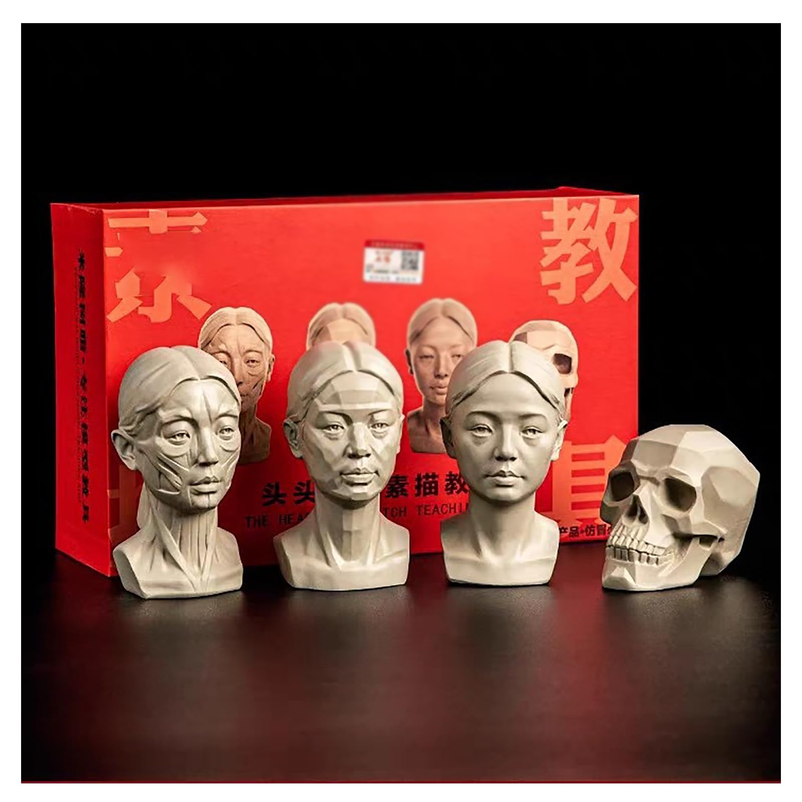 Fxnfxla 4Pack Standard Planar Head, Head Model For Artists, 2 In1 Original & Planar Face, Human Manikin Head For Medical And Artistic Drawing Skecthing Painting