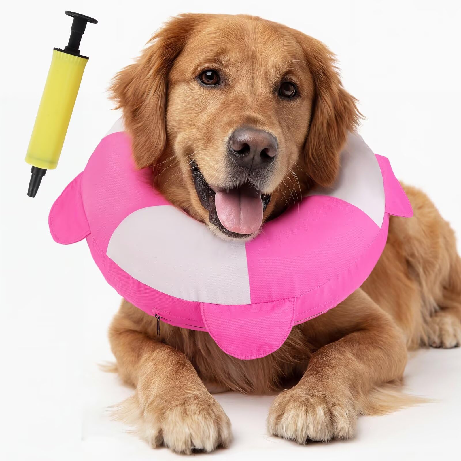 Donut gonflable pour chien : protégez ses plaies sans bloquer sa vision