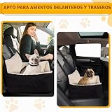 Ver la foto 7