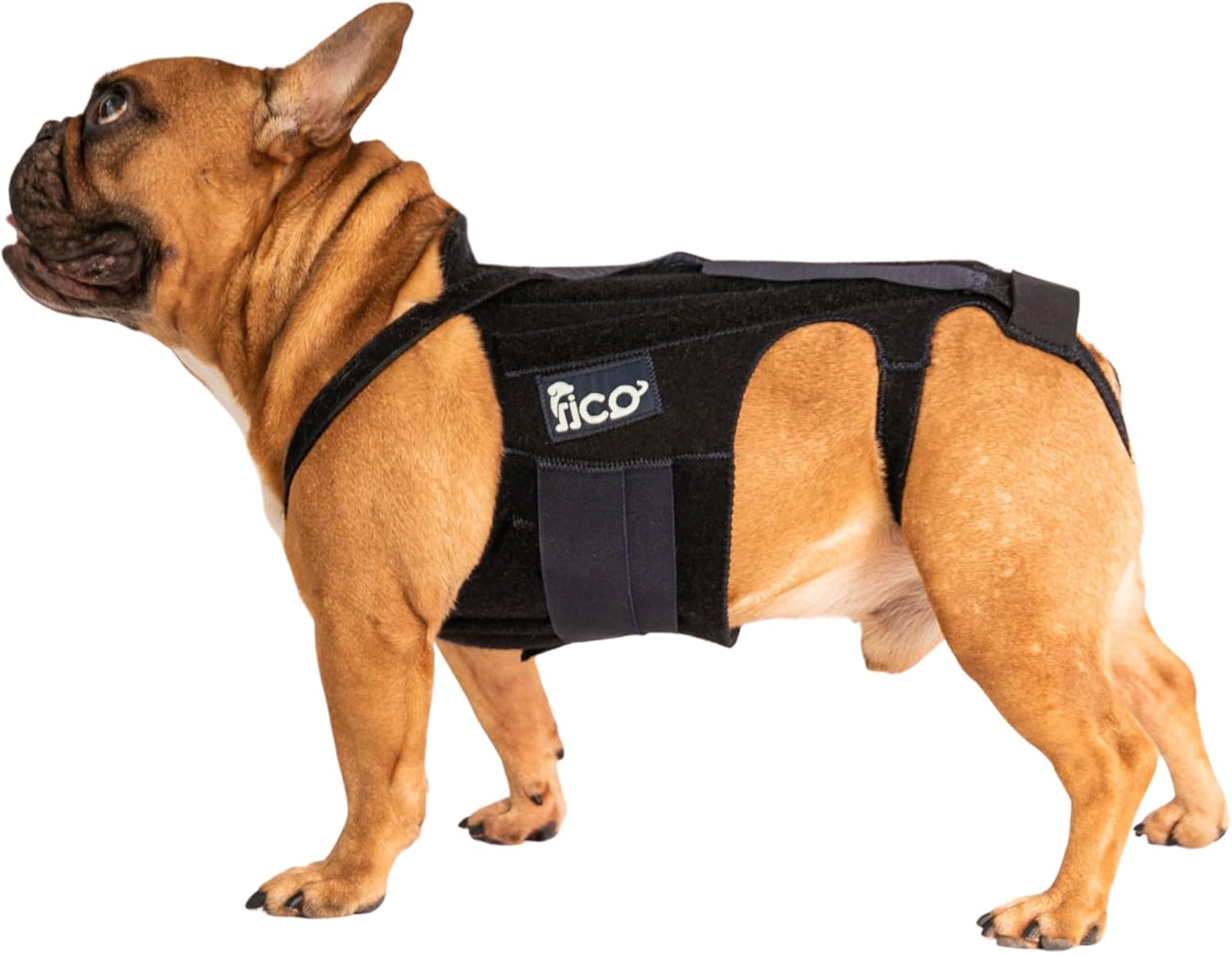 Dog Back Brace – Adjustable Spine Support for IVDD, Arthritis & Post-Surgery Recovery – Lightweight, Durable & Vet Approved – 5 Sizes (XS–XL) (Medium)