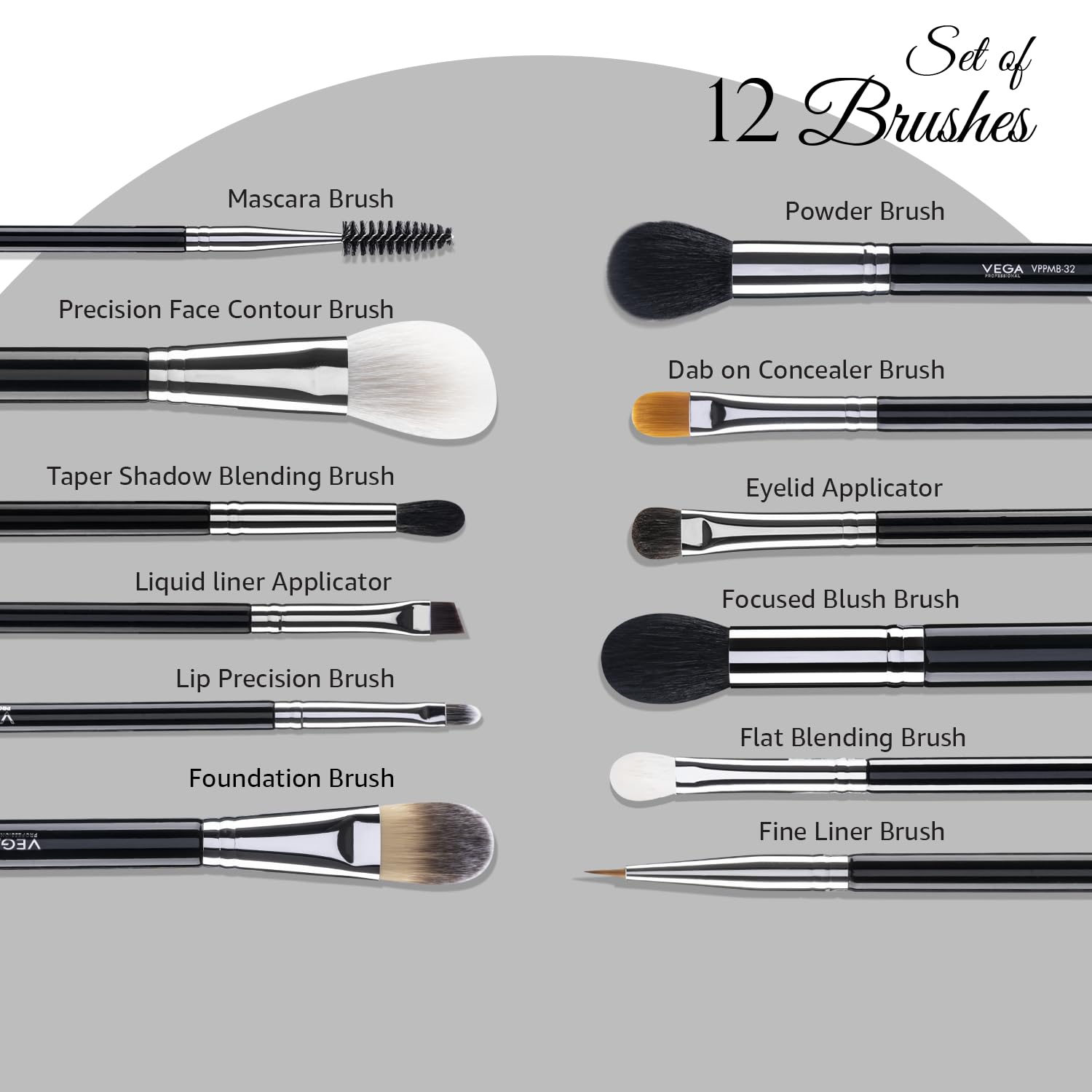 VEGA PROFESSIONAL Juego de 12 brochas de maquillaje (VPPMB-43)