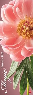 Magic Flowers Vertical Kalender 2026: Langer Wandkalender mit farbenprächtigen Blumen-Fotos. Dekorativer XL Kalender vertikal mit beeindruckenden Blüten. 25 x 69 cm.