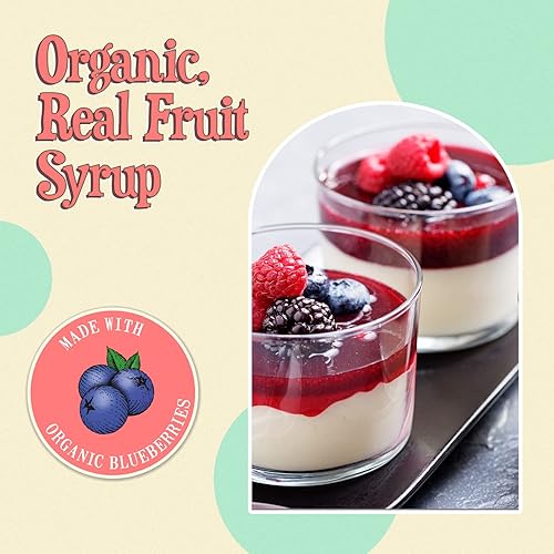 Miniatura 4 de Wäbry - Jarabe de arándanos sin azúcar añadido, 13.8 onzas (13.76 oz), jarabe de cono de nieve orgánico con sabor a fruta natural, endulzado con