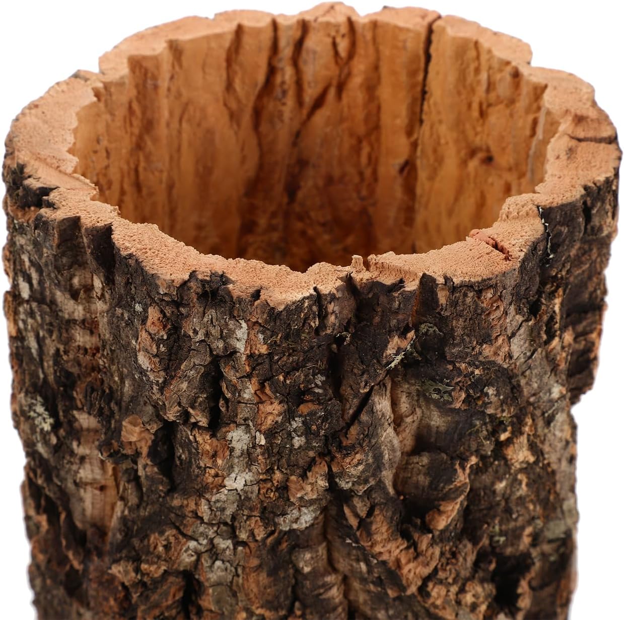 BESPORTBLE Reptile Hideout Cave with Hollow Tree Trunk Design Natural Terrarium Shelter for Gecko Lizard Snake Tortoise Turtle and Hermit Crab Stress Relief Reptile Log Hide 5.90X4.92X4.92In