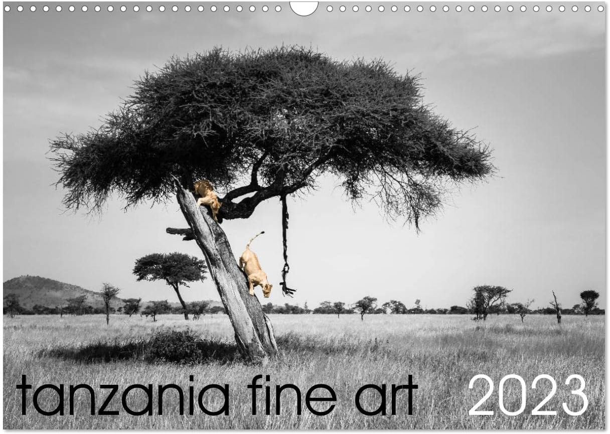 tanzania fine art (Wall Calendar 2023 DIN A3 Landscape