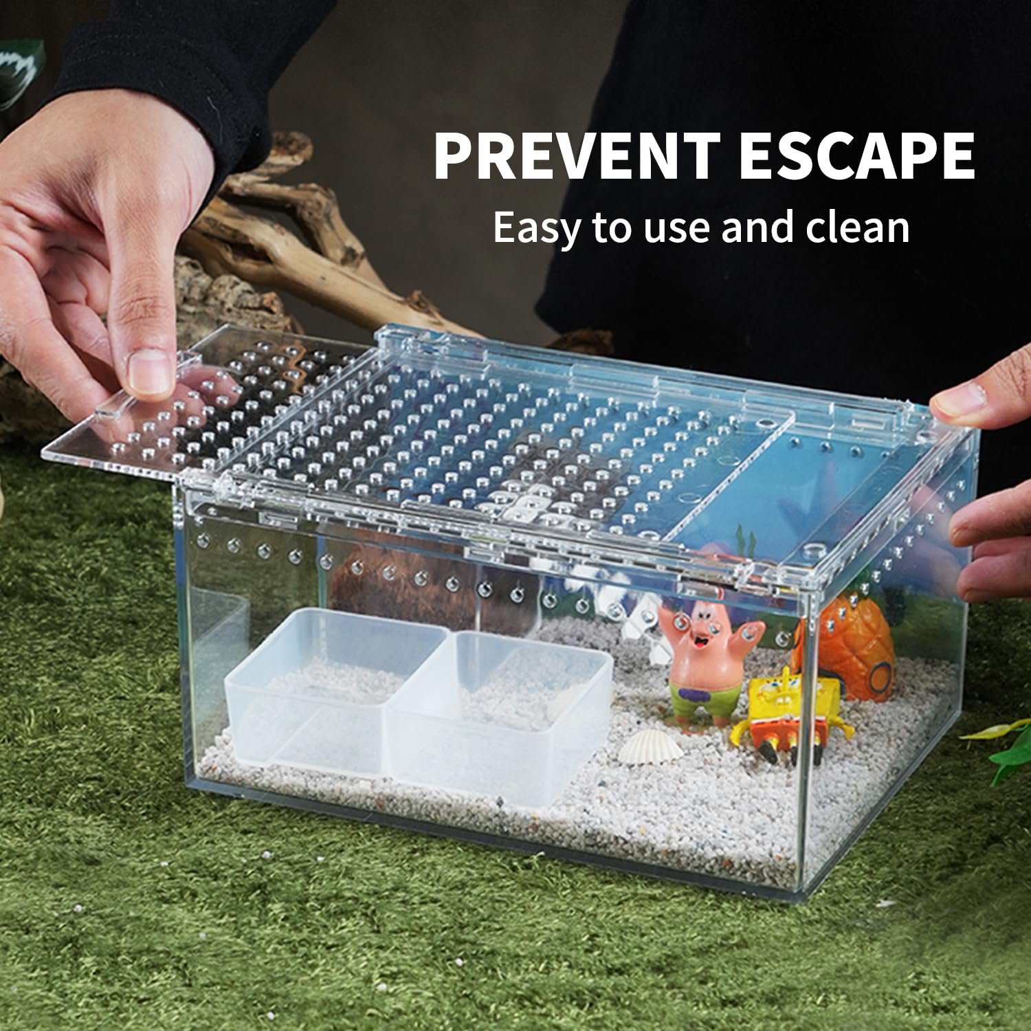 Terrario per rettili PC 30,5 x 20,3 x 15,2 cm, recinzione per tarantola, kit di avviamento per serbatoio di ragno, habitat di granchi eremiti, recinzione lucertola, custodia per insetti, gabbia per