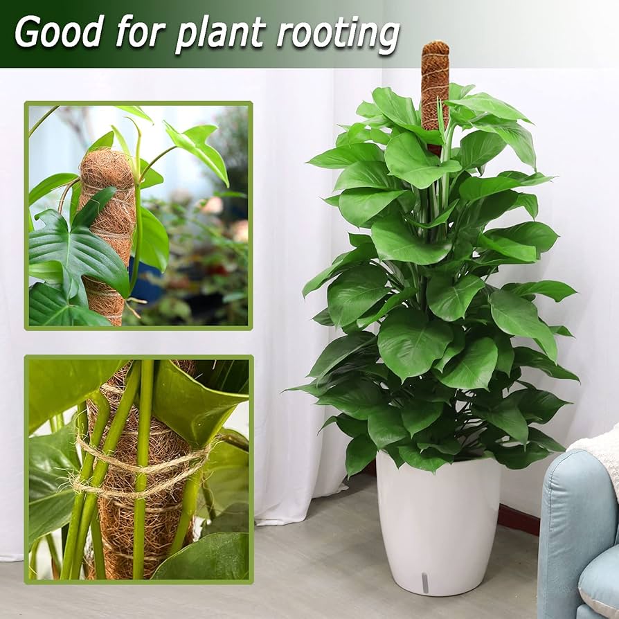 Amazon.com : 48 Inch Moss Pole, Bendable Moss Pole for Plants