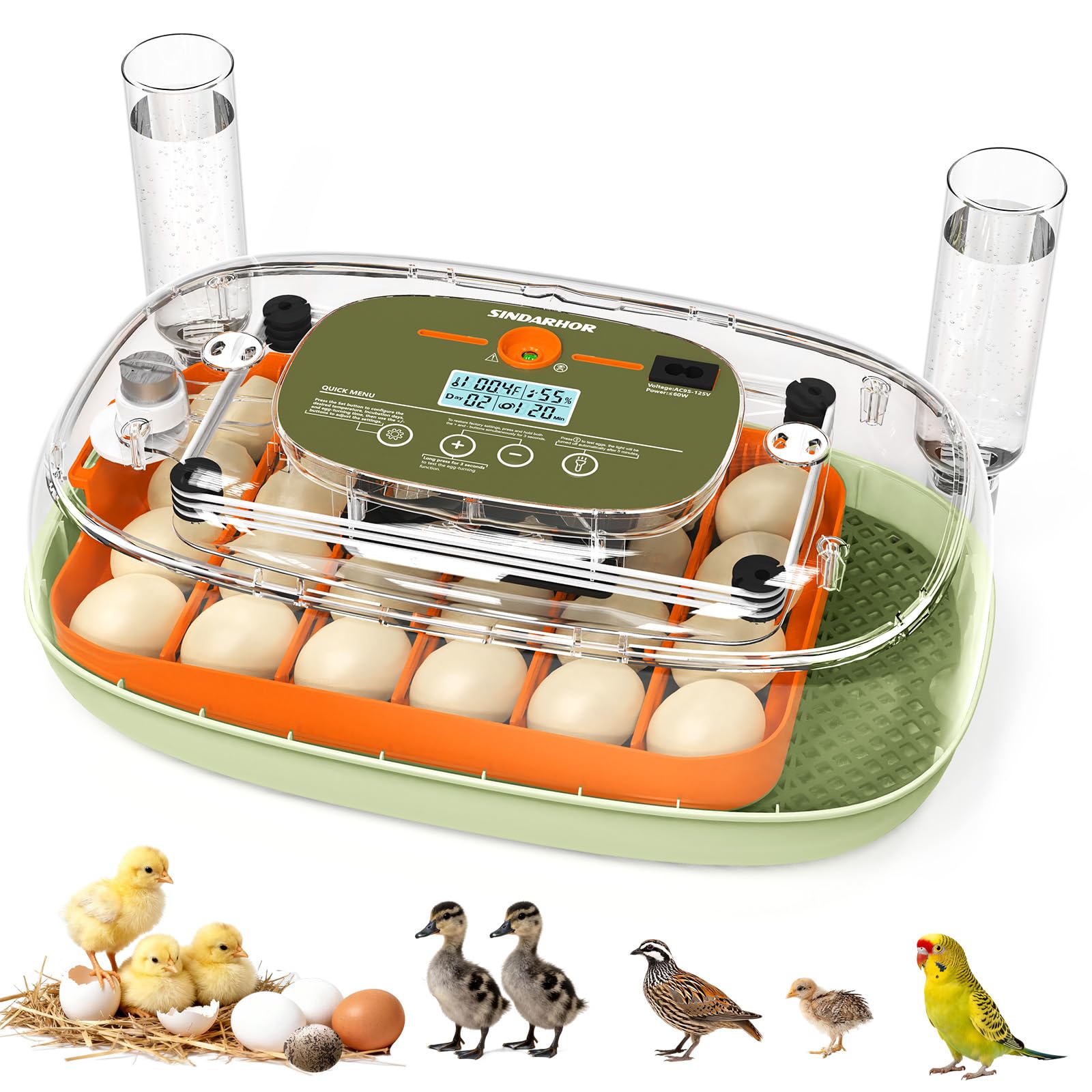 Incubateur d'œufs pour 24 œufs de poule avec tourneur automatique, contrôle numérique de la température et affichage de l'humidité, chandelier, chapelier de volaille pour poulet, canard