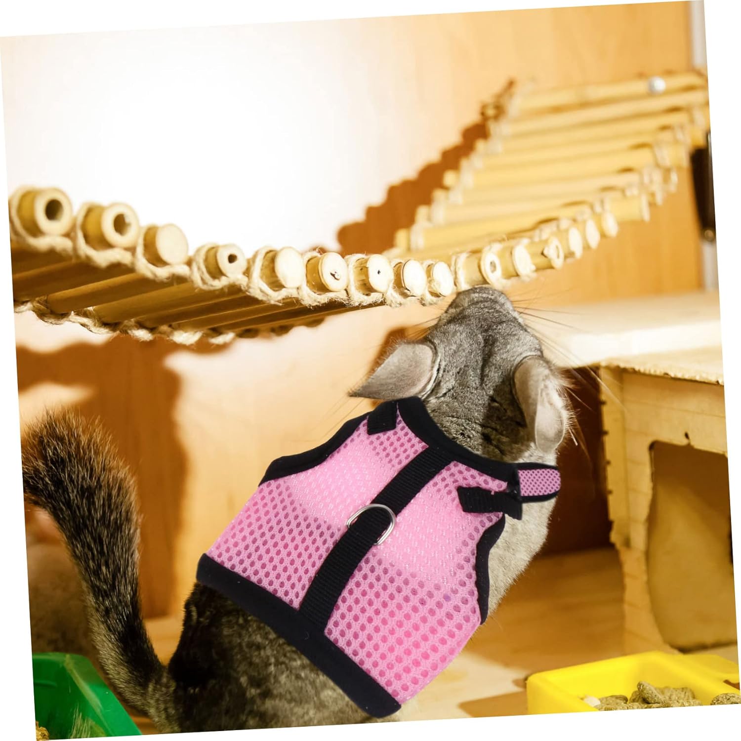 BESPORTBLE 12pcs and Leash for Pets Mesh Vest for Hamsters Guinea Pigs and Bunnies Comfortable and Fashionable Outdoor Gear Multiple Colors