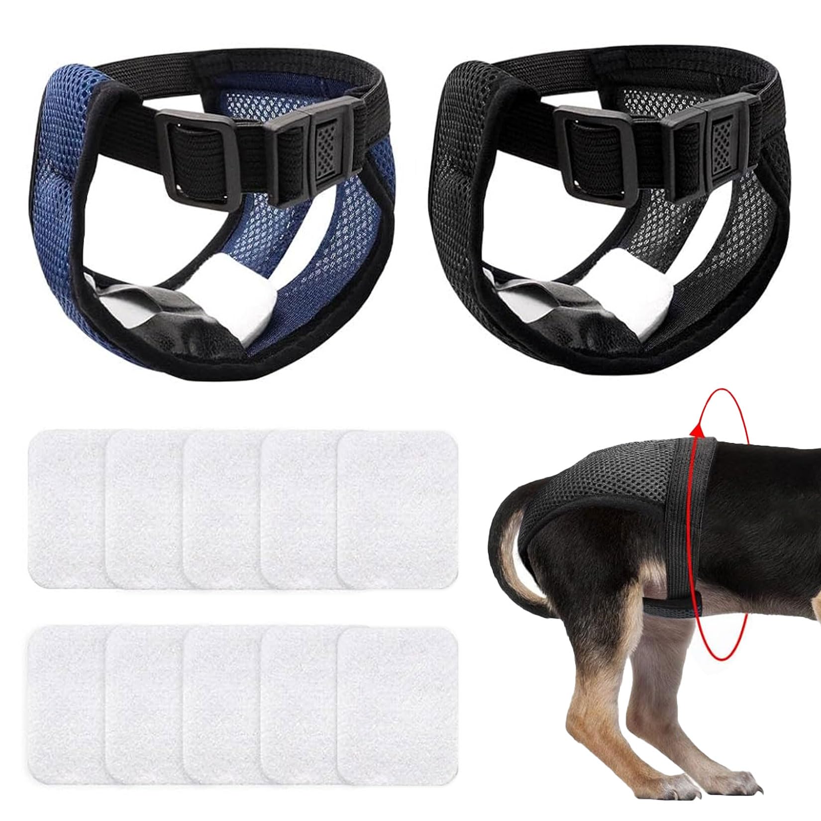 2 Stück Hundewindeln für Hündinnen Rüden, Wiederverwendbare Hund Läufigkeitshose Hundehöschen, Waschbare Verstellbare Schutzhose Hunde Windeln für Bundweite 50-60 cm Large, mit 10 Damenbinden