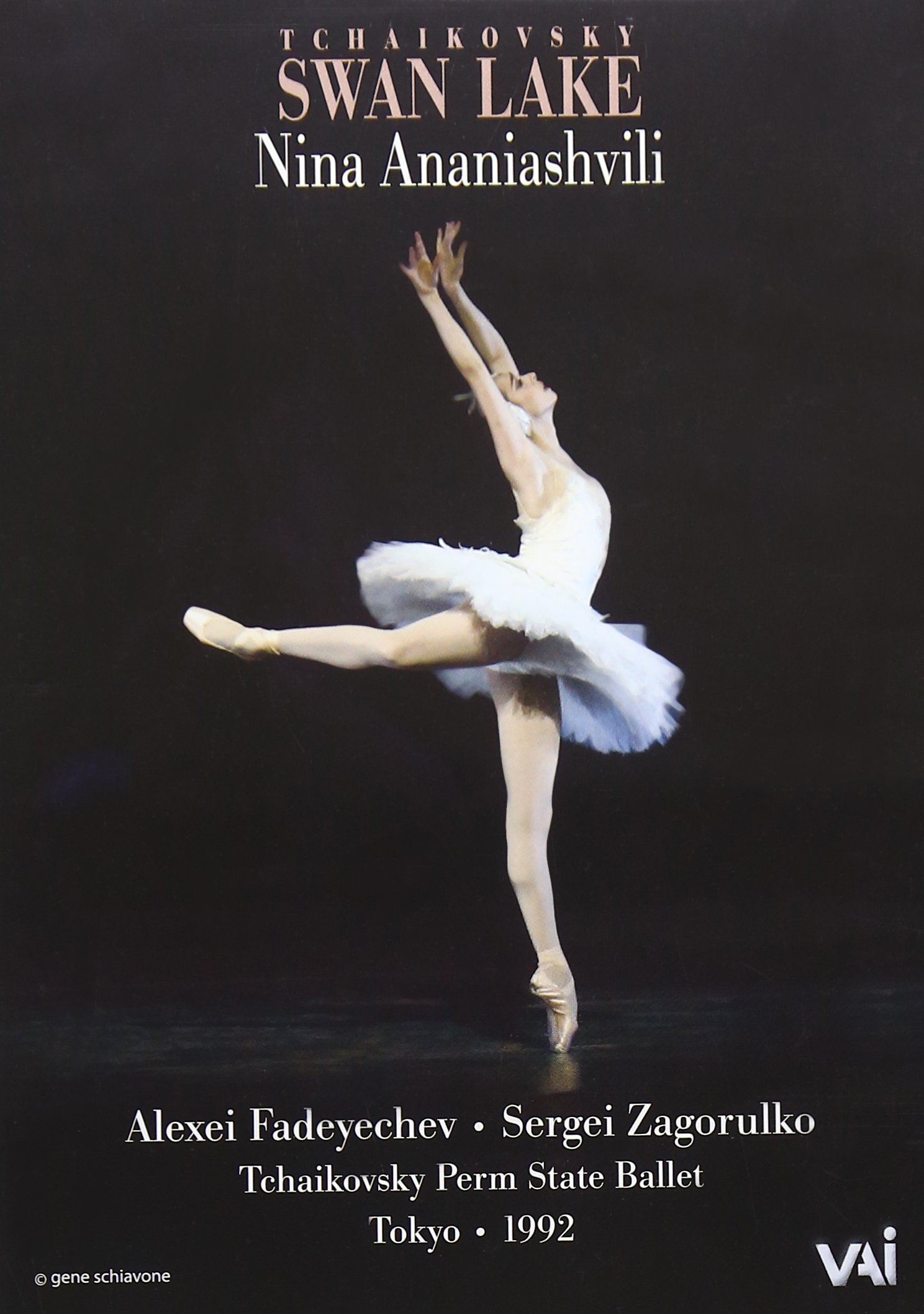 Swan Lake: Tchaikovsky Perm State Ballet [DVD] [2008]
