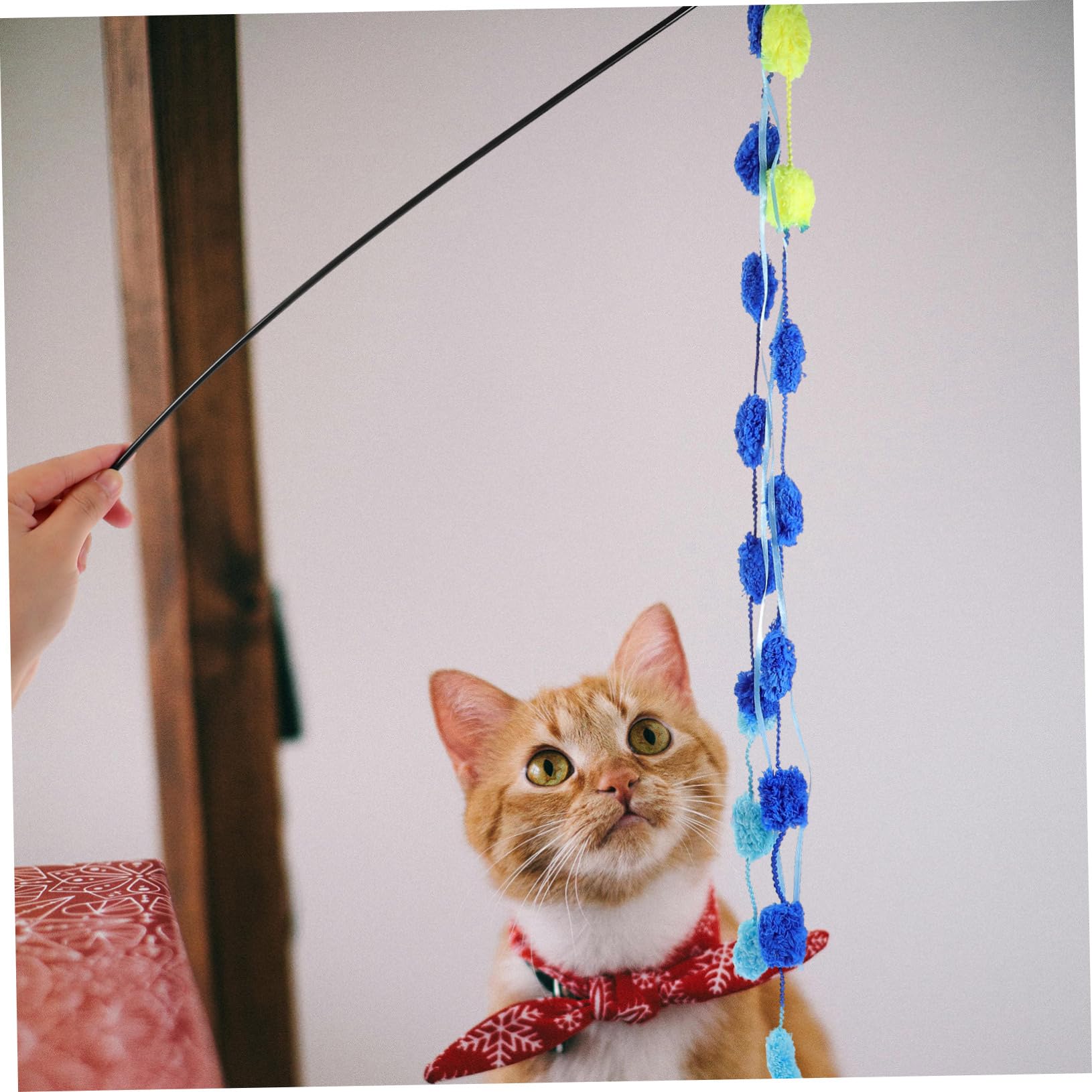 Yardwe 5 Sets Katzenspielzeug Interaktives Katzenspielzeug Für Hauskatzen Kätzchenspielzeug Katzen Katzenprodukte Katzenanreicherung 3 Stück * 5
