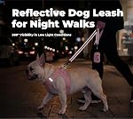 Voyager Reflective Dog Leash with Neoprene Handle, 5ft Long, Supports Small, Medium, and Large Breed Puppies, Cute and Heavy Duty for Walking, Running, and Training - Pink (Leash), S