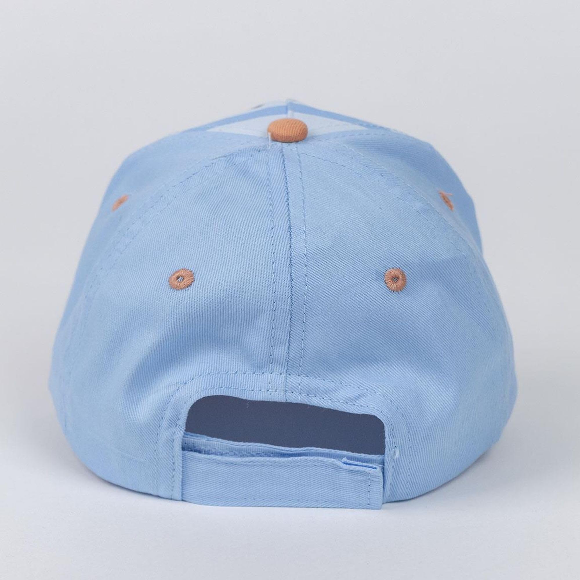 Bluey Gorra y Gafas de Sol Infantil Protección UV400 Filtro Categoría 3 Azul y Marrón