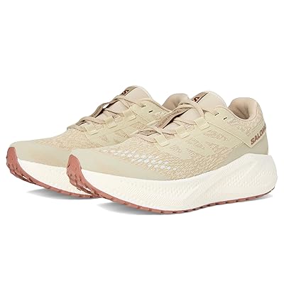 Salomon Aero Glide 3 Grvl Men