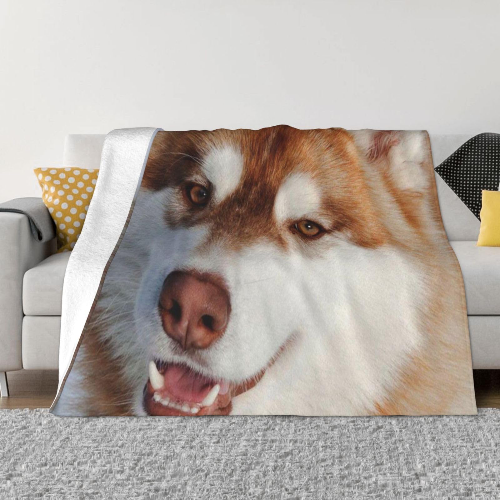 Couverture flanelle Huskies pour canapé et chambre cocooning