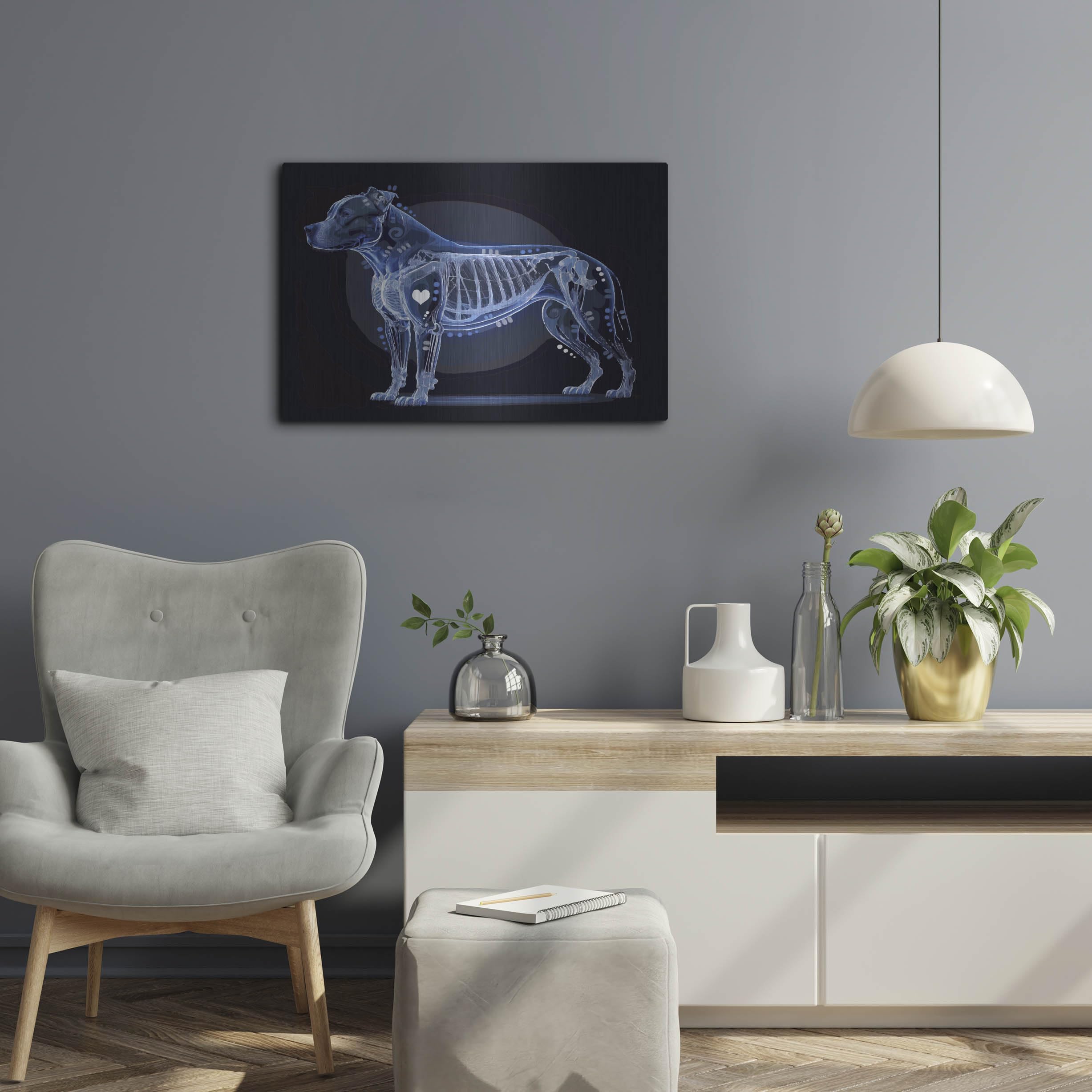 Amazon.com: Luxe Metal Art 'Xray Pitbull ' by Dean Russo Metal