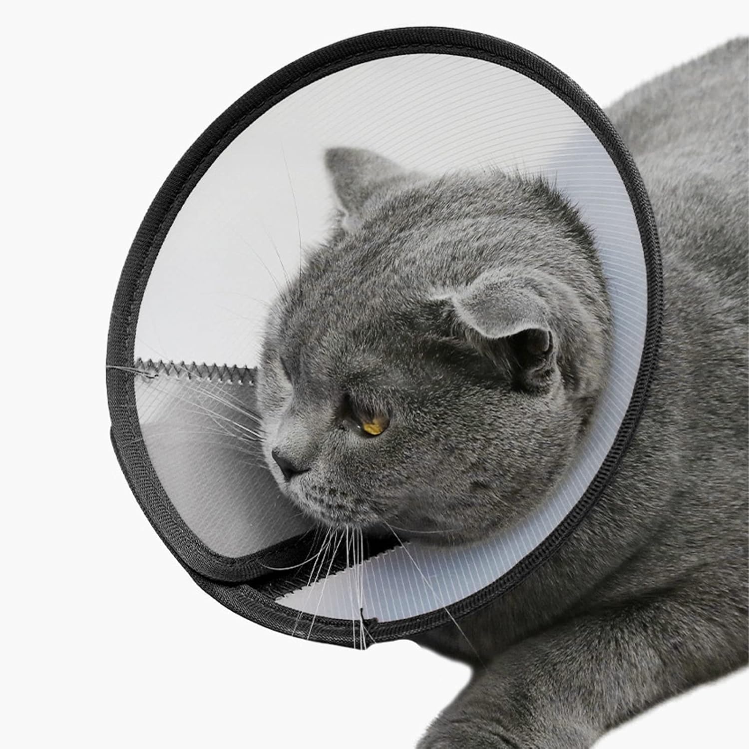 Adjustable Dog Elizabeth Collar, Dog Neck Cone Recovery Cone Collar Protective Collar for After Surgery Anti Bite Lick Wound Healing Safety Practical Plastic E Collar for Dogs After Surgery(Type 1)