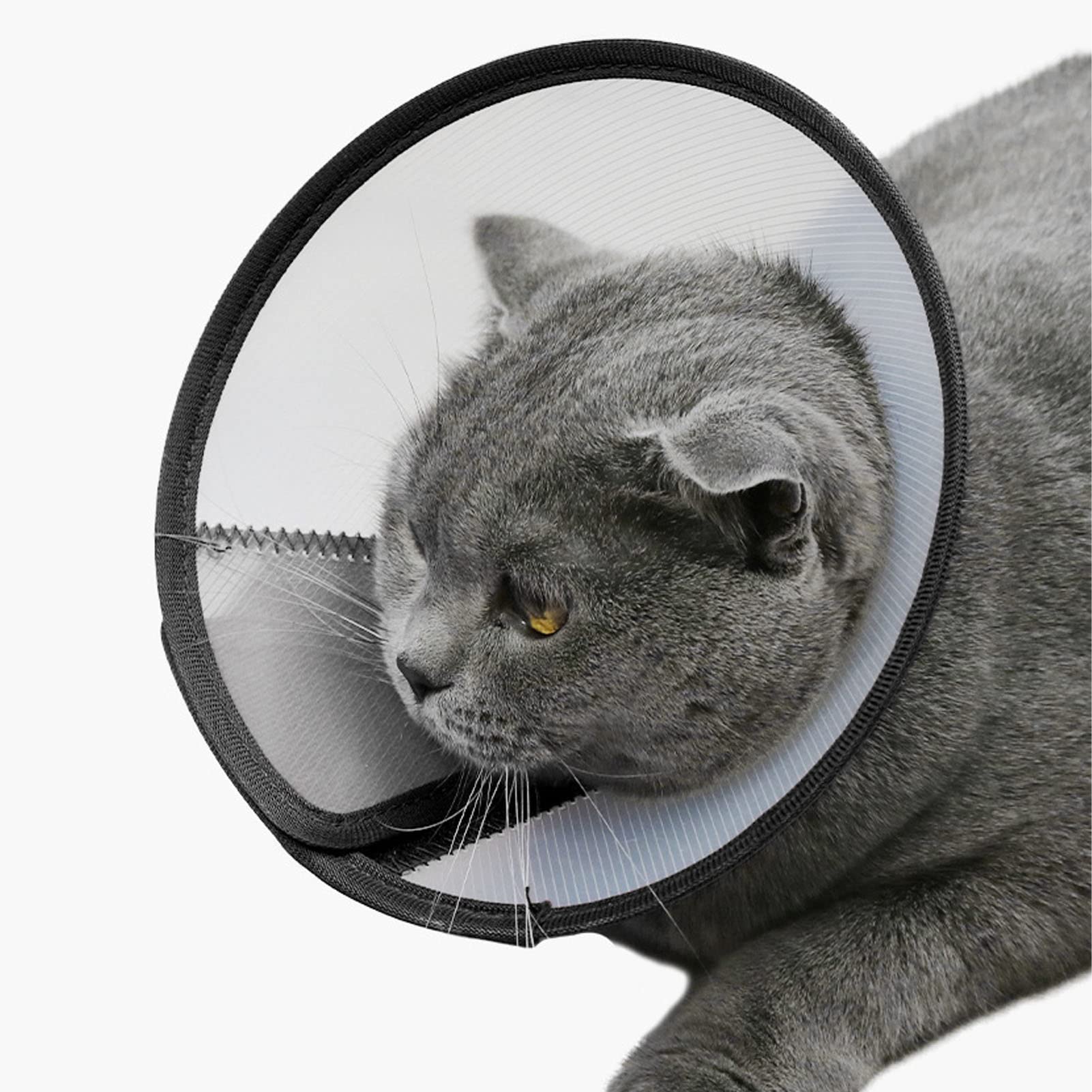 Collare di Recupero Protettivo Regolabile Cono in Plastica per Animali Domestici, Design Confortevole e Traslucido, 1 unità (4#)