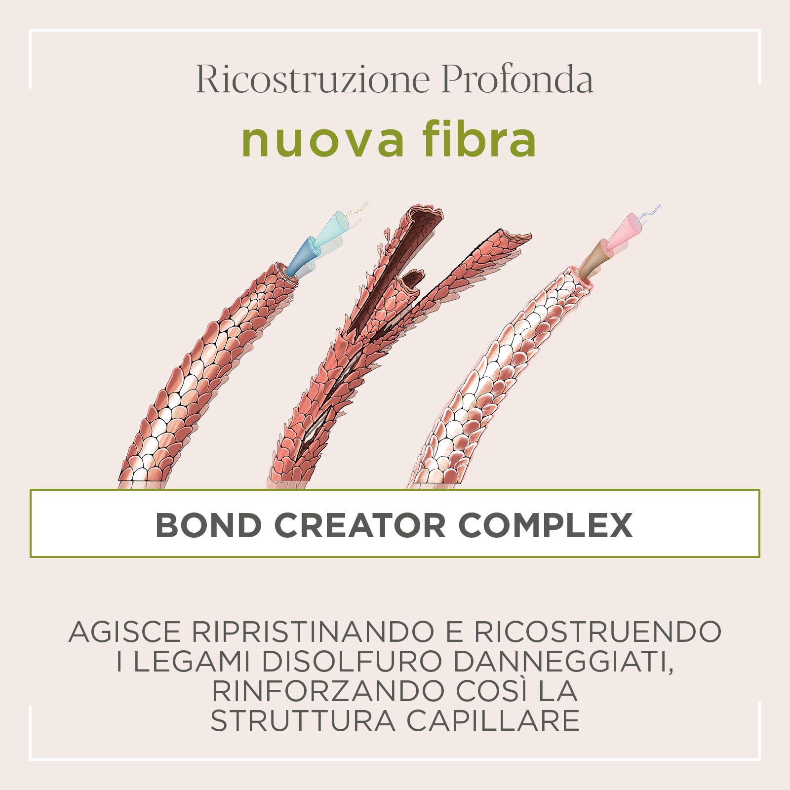 Actyva - Nuova Fibra Shampoo, ad Azione Ristrutturante per Capelli Sfibrati o Danneggiati con Amaranto e Alga Rossa - 250 ml