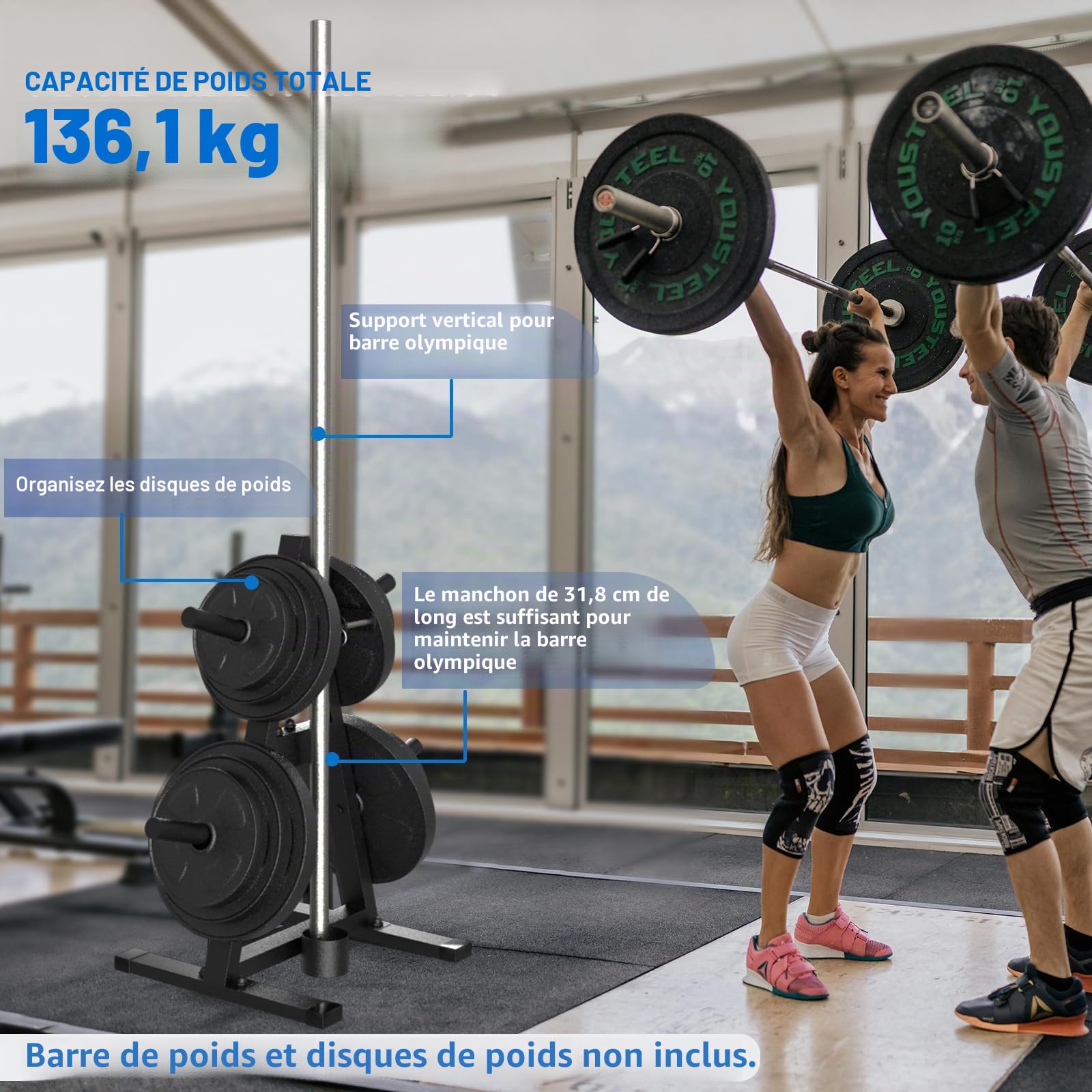 Arbre à disques en A pour plaques olympiques de 2,5 cm – Support d'haltères et rangement pour salle de sport à domicile – Peut contenir 136 kg