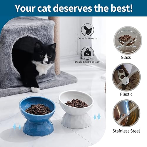 Miniatura 7 de TAMAYKIM Cuencos elevados de cerámica inclinados para gatos, juego de cuencos de comida y agua de 8 onzas para gatitos, plato elevado de porcelana