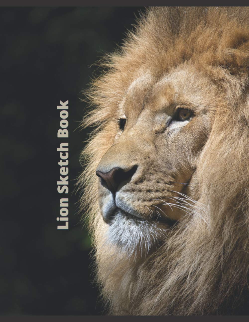 Lion Sketch book: Lion Sketchbook for Kids and Adults