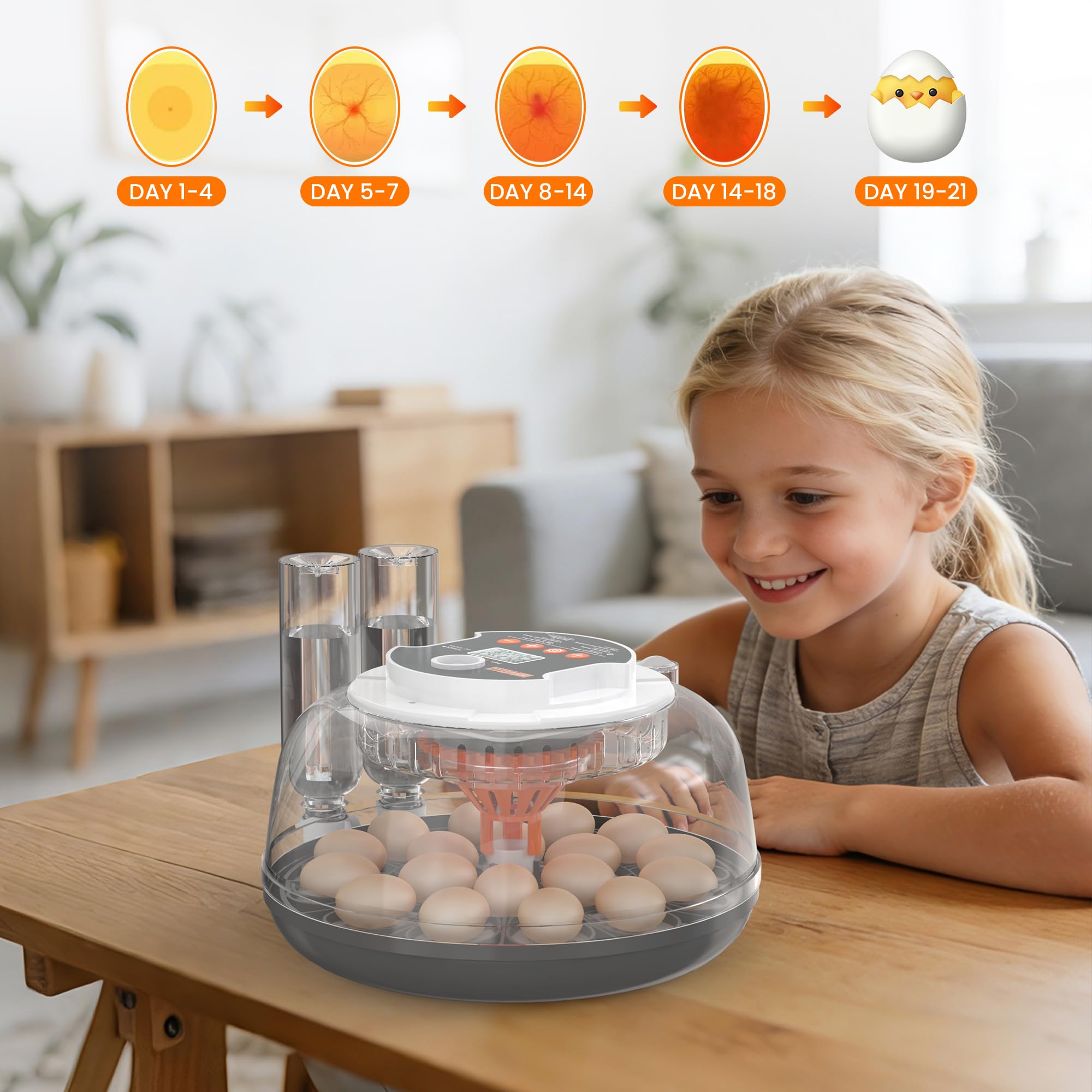 Incubadora automática de huevos de 18 huevos para incubar huevos, incubadora de huevos de gallina con giro automático de huevos, control de humedad y temperatura, contador de día de eclosión, vela de