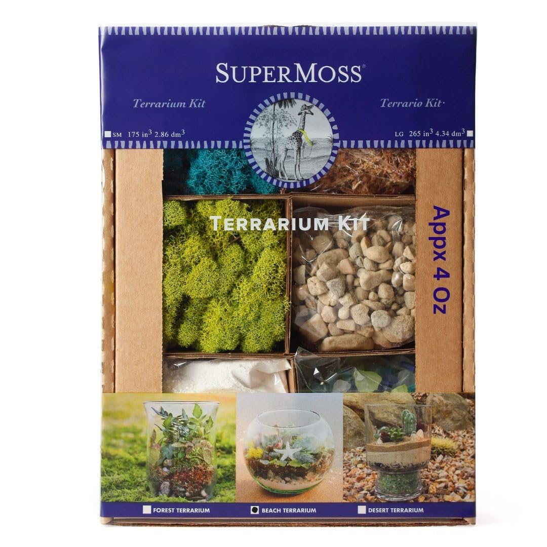 SuperMoss (90422) Beach Terrarium DIY Kit - Create Stunning Nature-Inspired Mini Gardens - Perfect for Home Decor, Office Gifts, and Plant Lovers, Appx 4 Oz