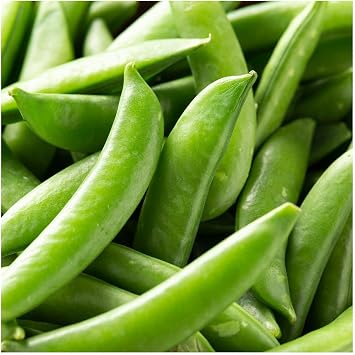 Everwilde Farms - 1/4 Lb Organic Sugar Daddy Pea Seeds - Gold Vault