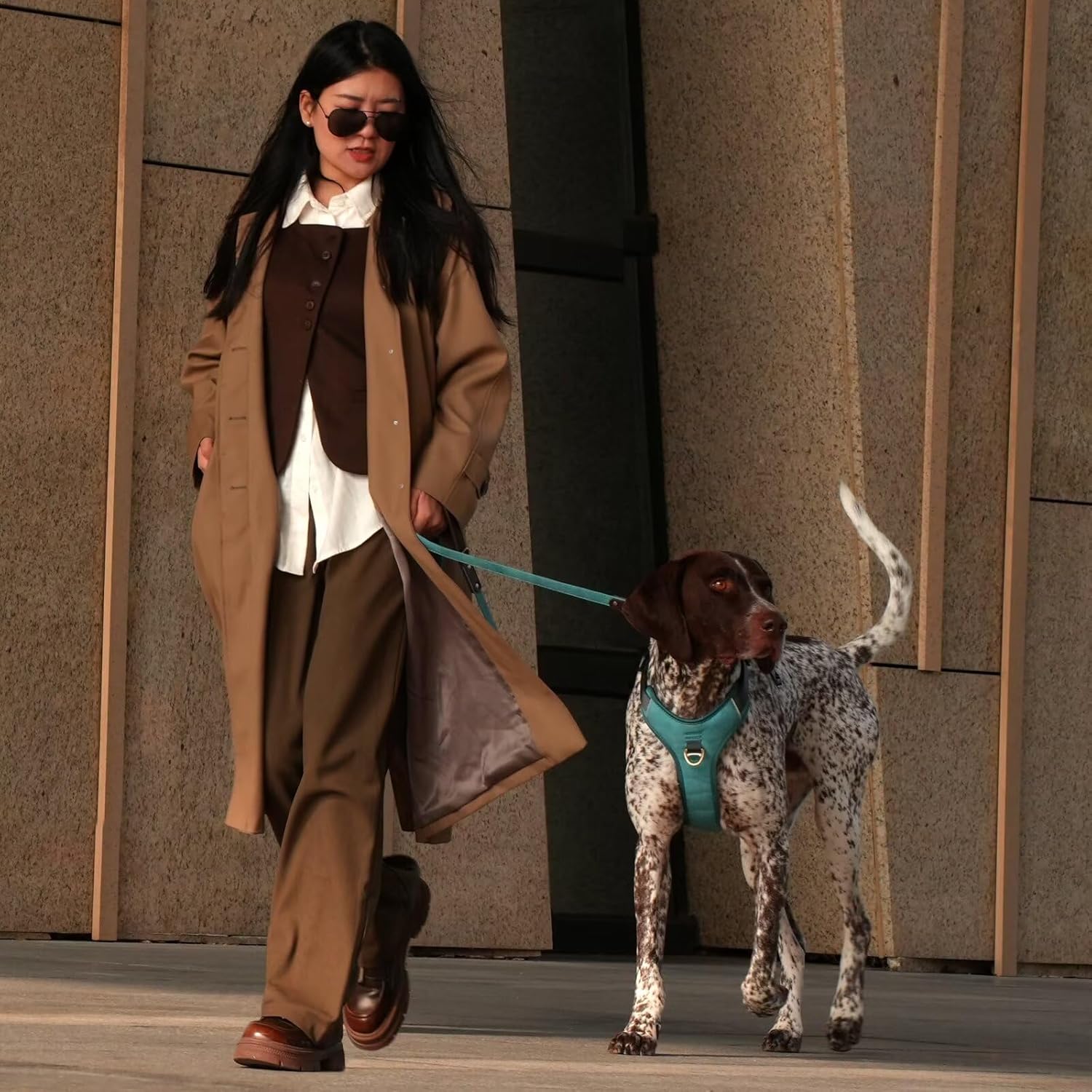 Didog No Pull Dog Harness Medium Sized Dog,Classic PU Leather Vest for Medium Dogs with Easy Control Handle,No Choke Front Clip,Reflective & Adjustable for Walking,Light Blue,Chest 27-33"